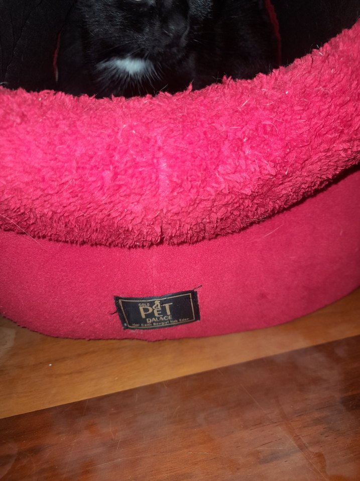 Koyu Kırmızı Kedi Yuva Evi - Görsel 5