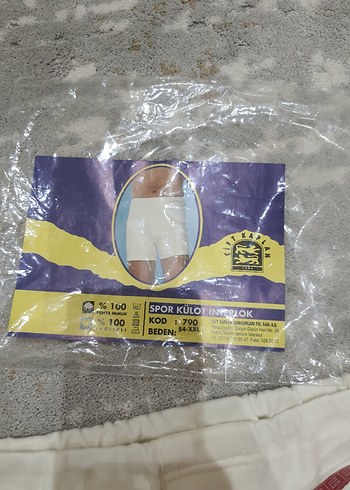 Beyaz erkek Boxer - Görsel 6