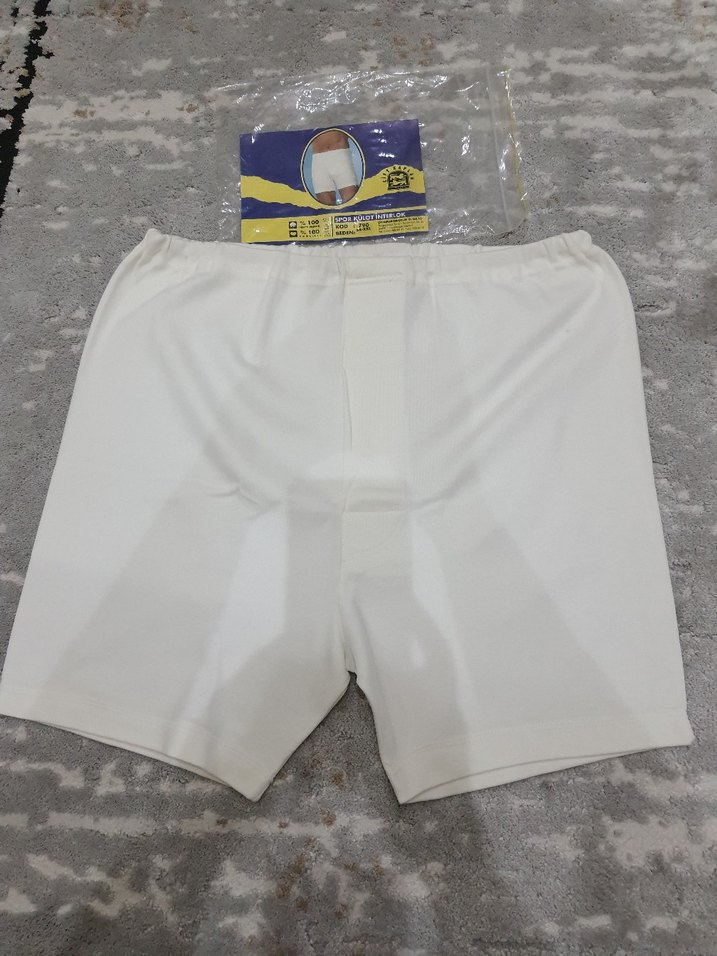 Beyaz erkek Boxer - Görsel 2