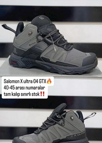 Salomon 41
