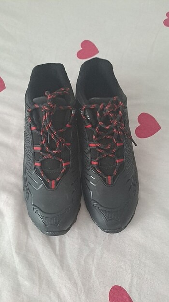 Kışlık sıpor - Görsel 3