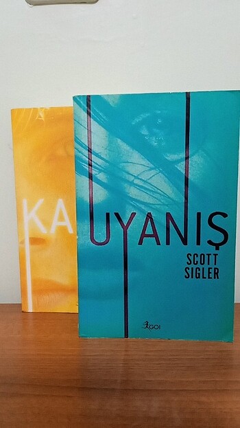 Uyanış ve Kaçış 