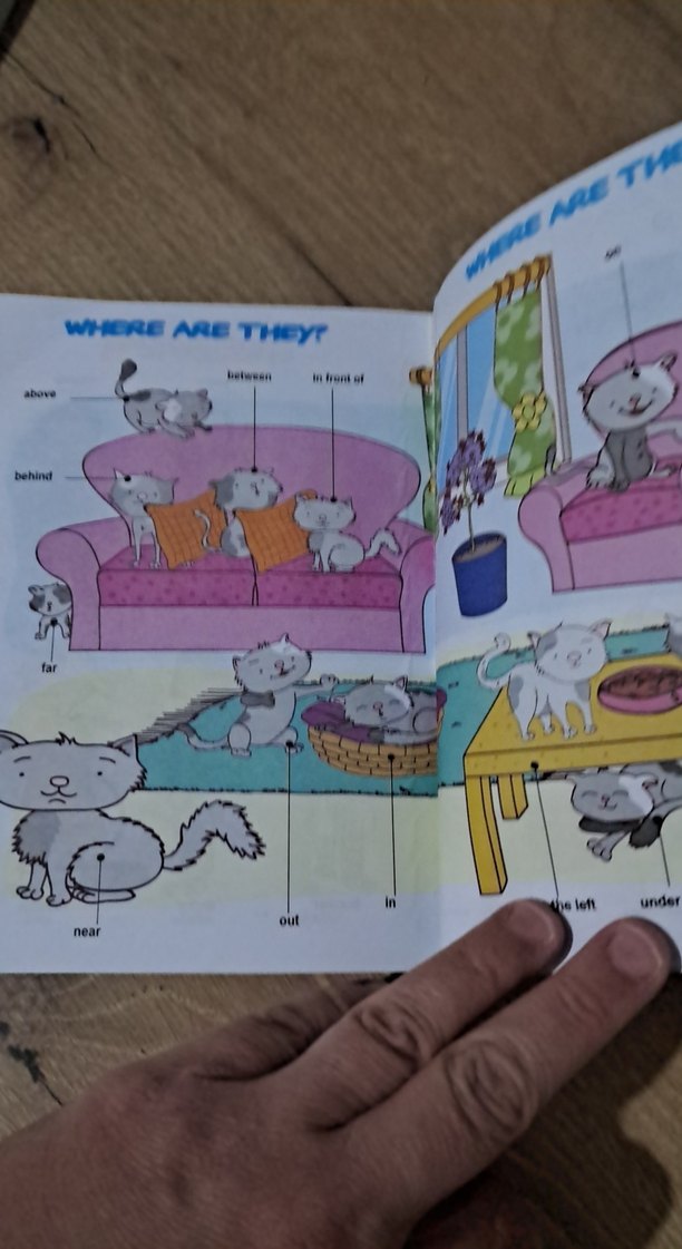 ingilizce resimli sözlük - Görsel 4