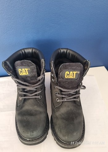 CAT bot