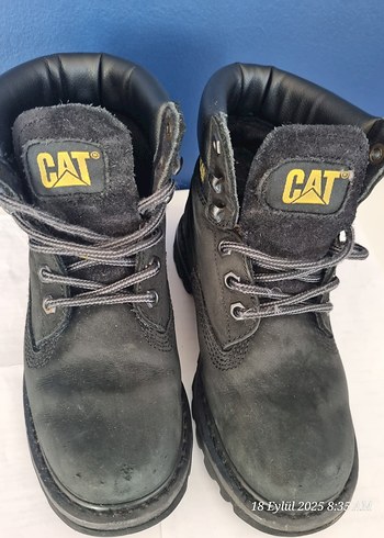 Cat CAT bot