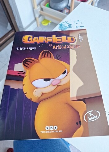 Garfield çizgi roman