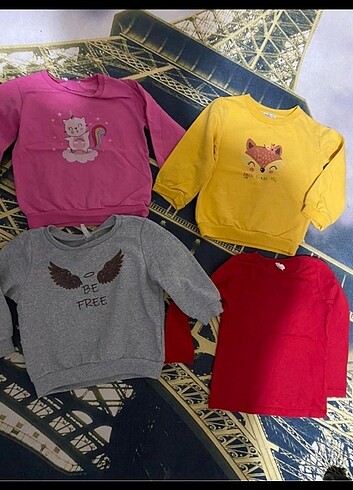 LC Waikiki Toplu sweatshirt