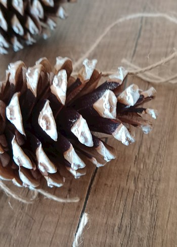 çam ağacı süsleri Kozalak Süs - Görsel 5