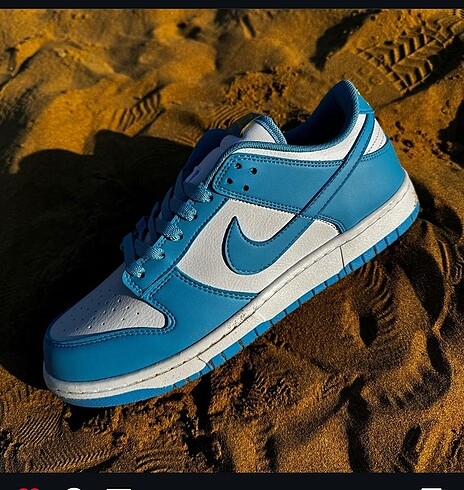 Dunk Low Blue