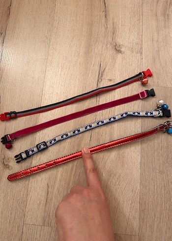 Renkli Kedi Tasması Seti - Görsel 4