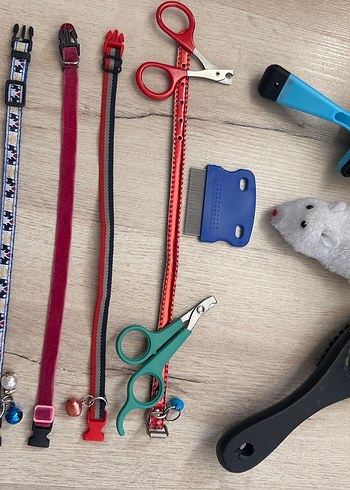 Renkli Kedi Tasması Seti - Görsel 5