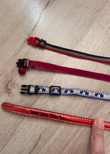 Renkli Kedi Tasması Seti - Görsel 3