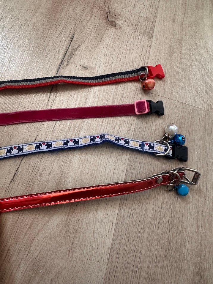 Renkli Kedi Tasması Seti - Görsel 2