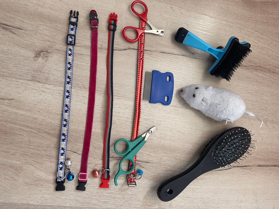 Renkli Kedi Tasması Seti - Görsel 5