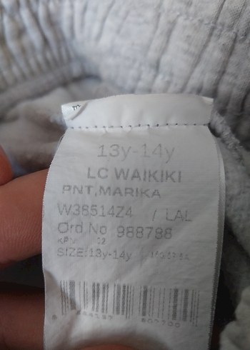 LC Waikiki Eşofman Altı - Görsel 6