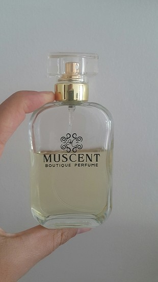 muscent modern Muse nuit efsane koku 