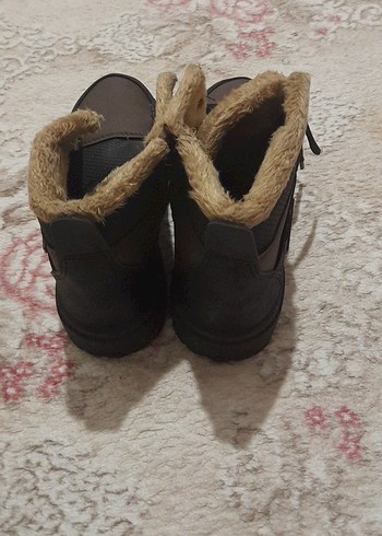 Kahverengi Kürklü Erkek Bot - Görsel 3