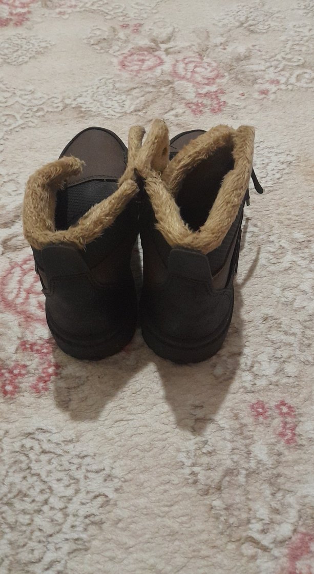 Kahverengi Kürklü Erkek Bot - Görsel 3