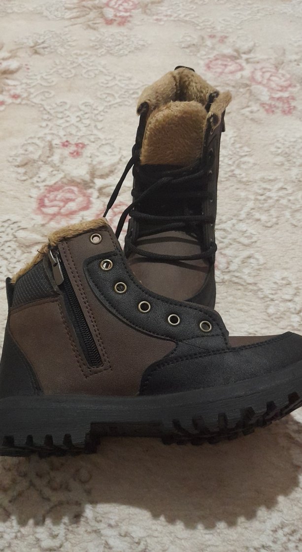 Kahverengi Kürklü Erkek Bot - Görsel 2