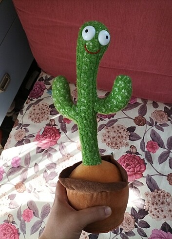 Kaktüs Oyuncak 