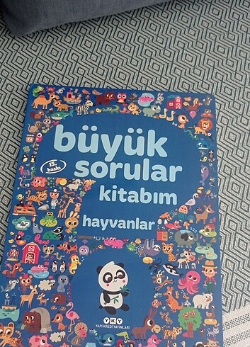  Beden Renk Büyük sorular kitabım 