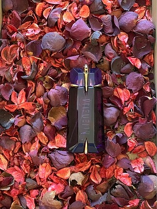 Beden Renk Thierry Mugler Alien kadın Eau de parfum 90ml