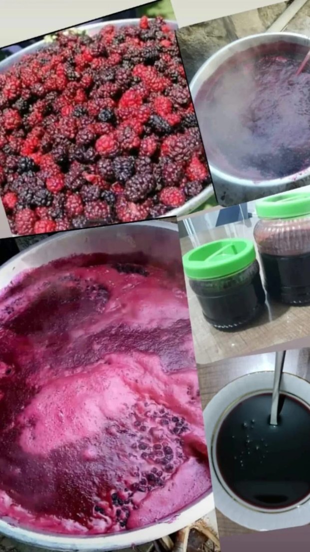 Karadut özü - Görsel 4