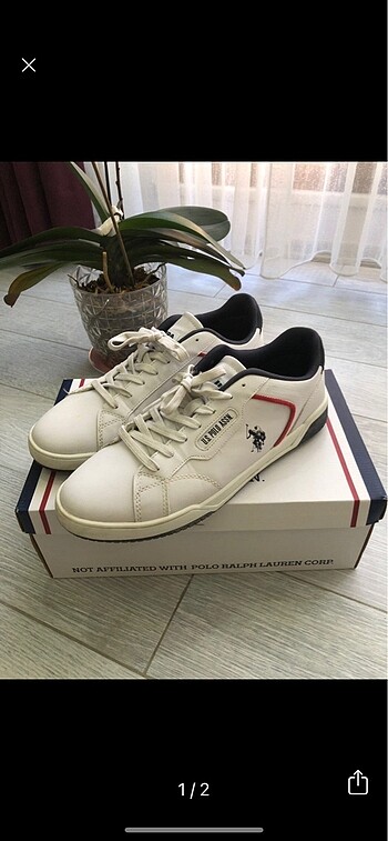 U.S Polo Assn. 43