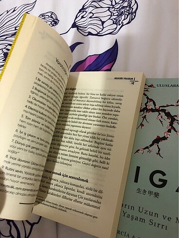  Beden Renk İkigai kitap seti