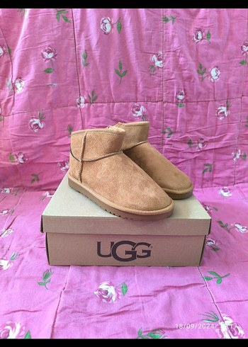 Ugg Bej Suet Bot