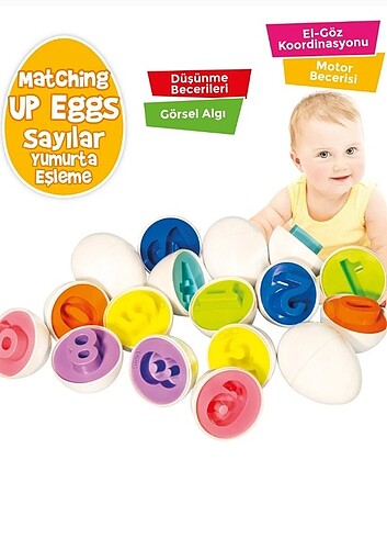 Circle Toys 10'lu Yumurta Sayılar