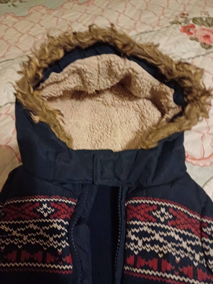 1 yaş erkek bebek kapşonlu içi peluş yelek - Görsel 2