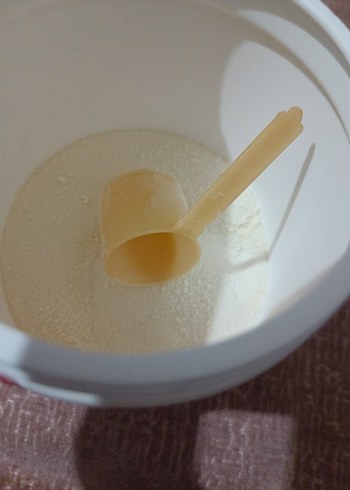 Altın Kapaklı Kiperin - Görsel 7