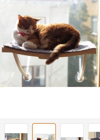  Gri paspaslı kedi yatağı