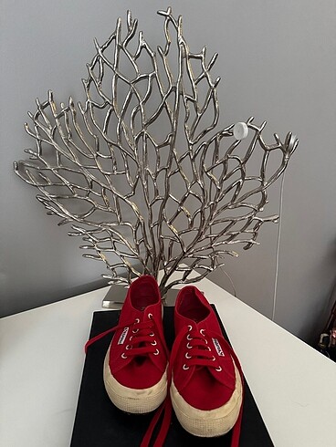 36 Beden Superga orijinal 36