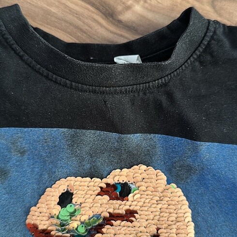 4 Yaş Beden H&m pullu dinozor t shirt