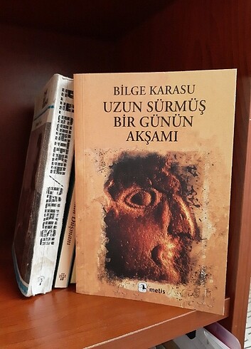 Bilge karasu uzun sürmüş bir günün akşamı