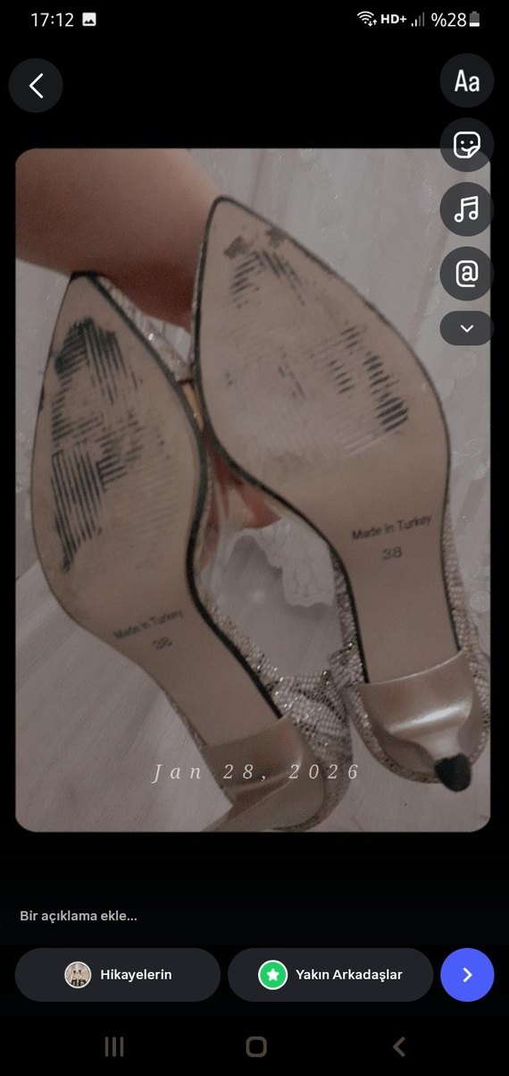 Bej Yılan Derisi Desenli Stiletto Dantel Detaylı - Görsel 2