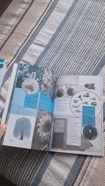 Marsa Nasil Giderim - Görsel 2