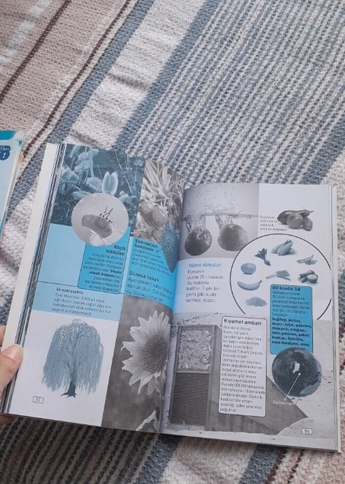 Marsa Nasil Giderim - Görsel 2