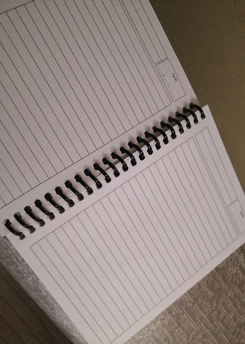 Galatasaraylı not Defteri - Görsel 2