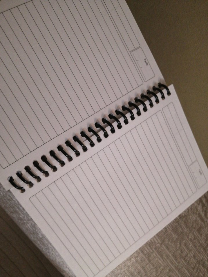 Galatasaraylı not Defteri - Görsel 2