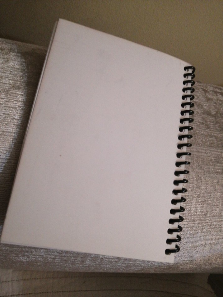 Galatasaraylı not Defteri - Görsel 3