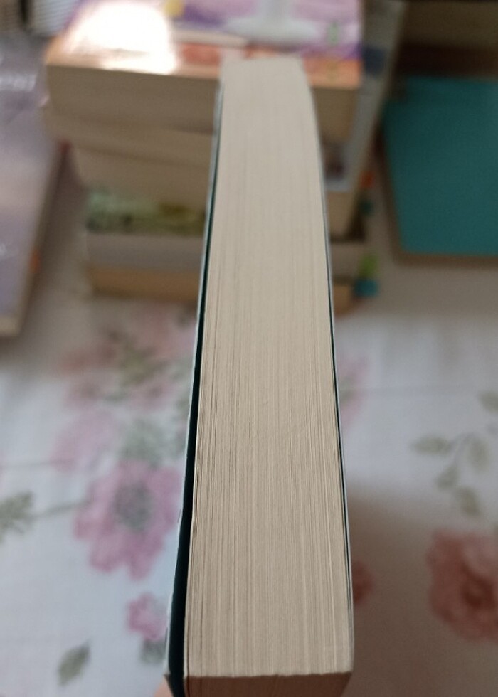 Hatırla Barbara Yağmur Yağıyordu/ onur caymaz - Görsel 2