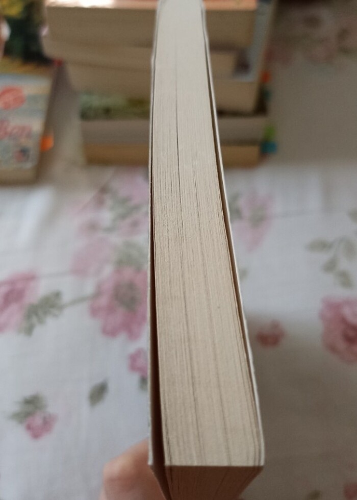 Sis perdesi efe'ye ağıt  Sadi karakaş - Görsel 2