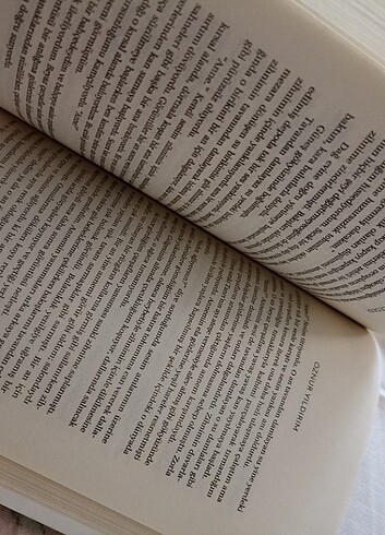 Yabancı veyl Öznur Yıldırım  - Görsel 6