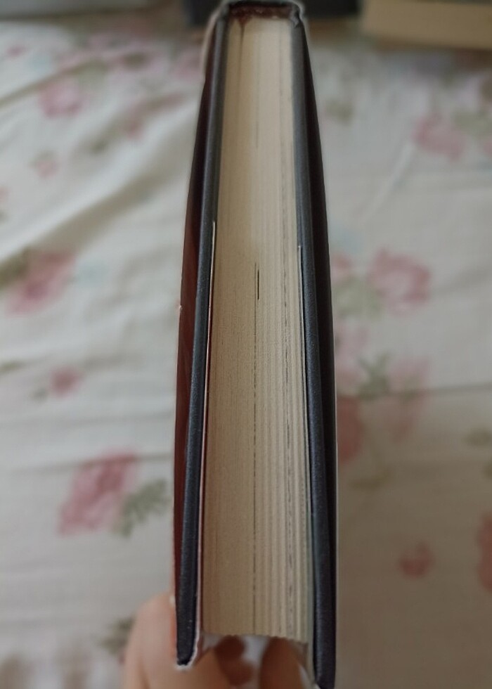 Çanakkale yolunda -14 yaşında asker- CİLTLİ - Görsel 2