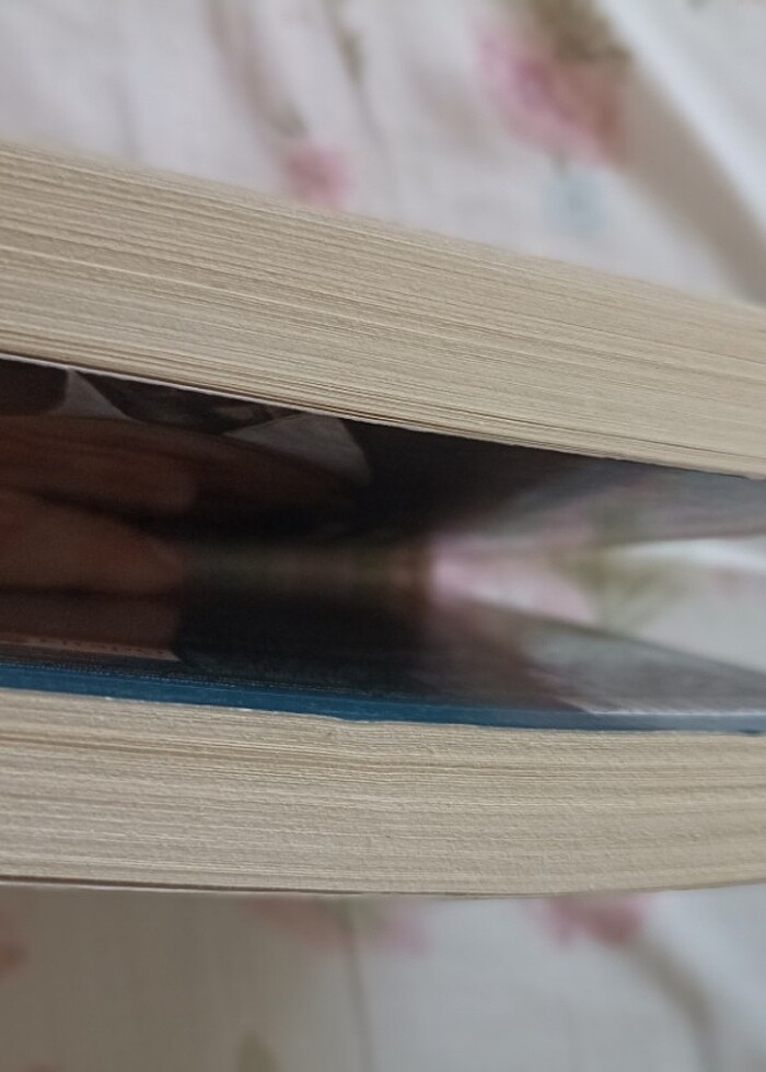 Sabahattin Ali  - Görsel 2