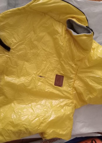  Sarı Fermuarlı Gri Sokak Stili Köpek Montu