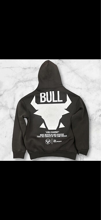 Zara Kapusonlu sweatshirt unisex